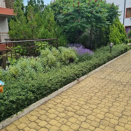 Famagusta Antoniya * Aheloi