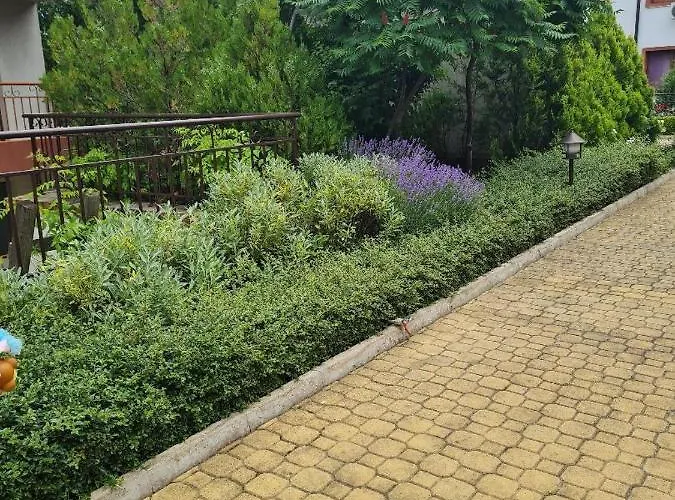 Famagusta Antoniya * Acheloj